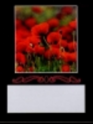 Wine Bottle Labels, Poppies - Pack of 32