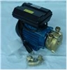 Wine Transfer Pump - Tellarini 0.5 HP Bronze